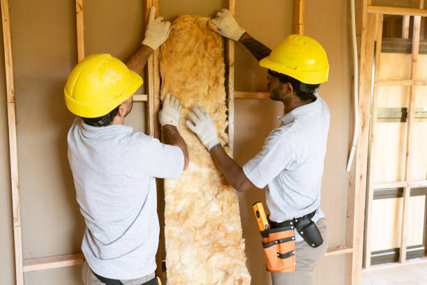 Best Crawl Space Insulation  in Bastrop, TX